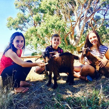 Morella Farmstay ケープ・ジェービス エクステリア 写真