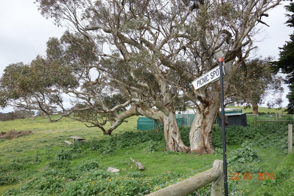 Morella Farmstay ケープ・ジェービス エクステリア 写真