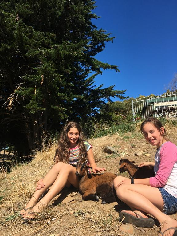 Morella Farmstay ケープ・ジェービス エクステリア 写真