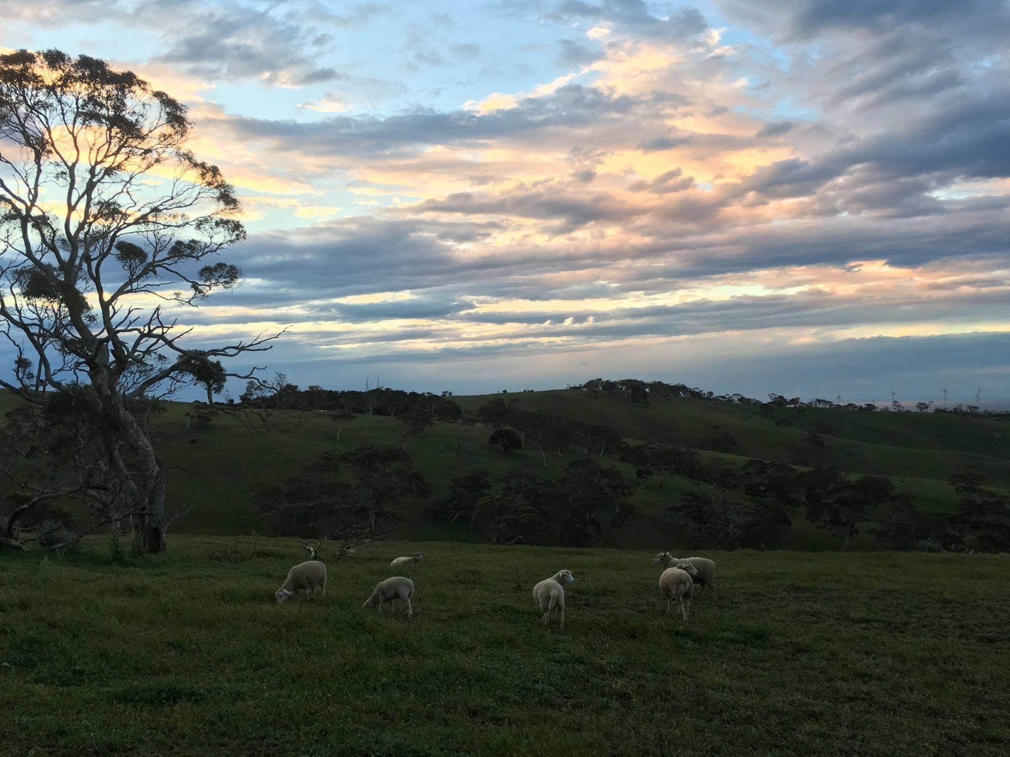 Morella Farmstay ケープ・ジェービス エクステリア 写真